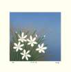 41 photo41_small.jpg